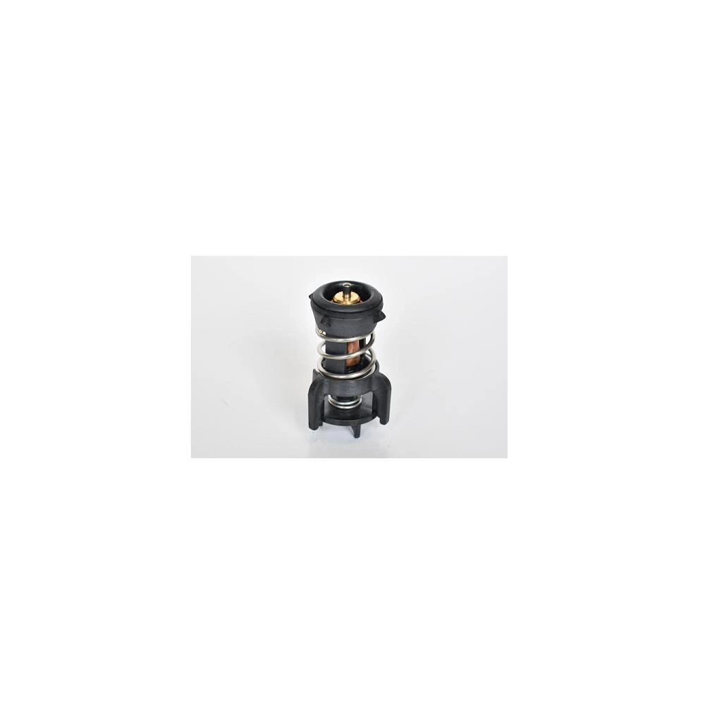 TERMOSTAT LICHID RACIRE