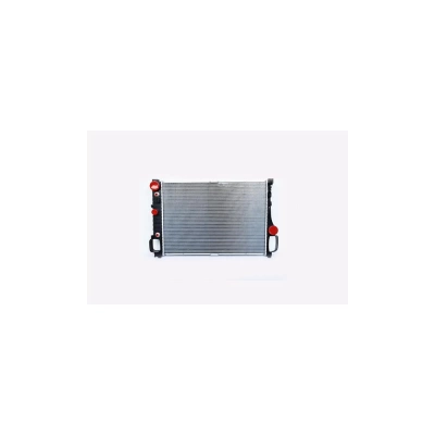 RADIATOR MOTOR
