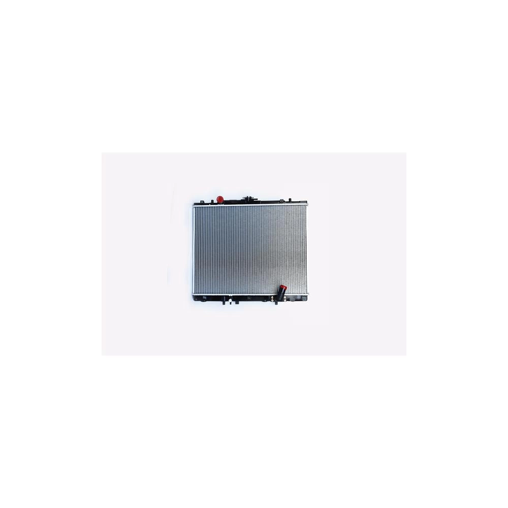 RADIATOR MOTOR