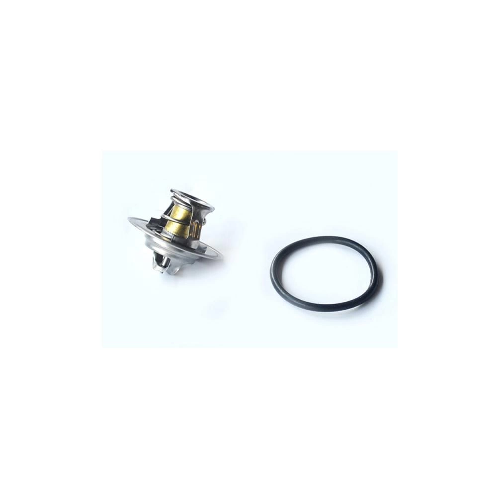 TERMOSTAT LICHID RACIRE